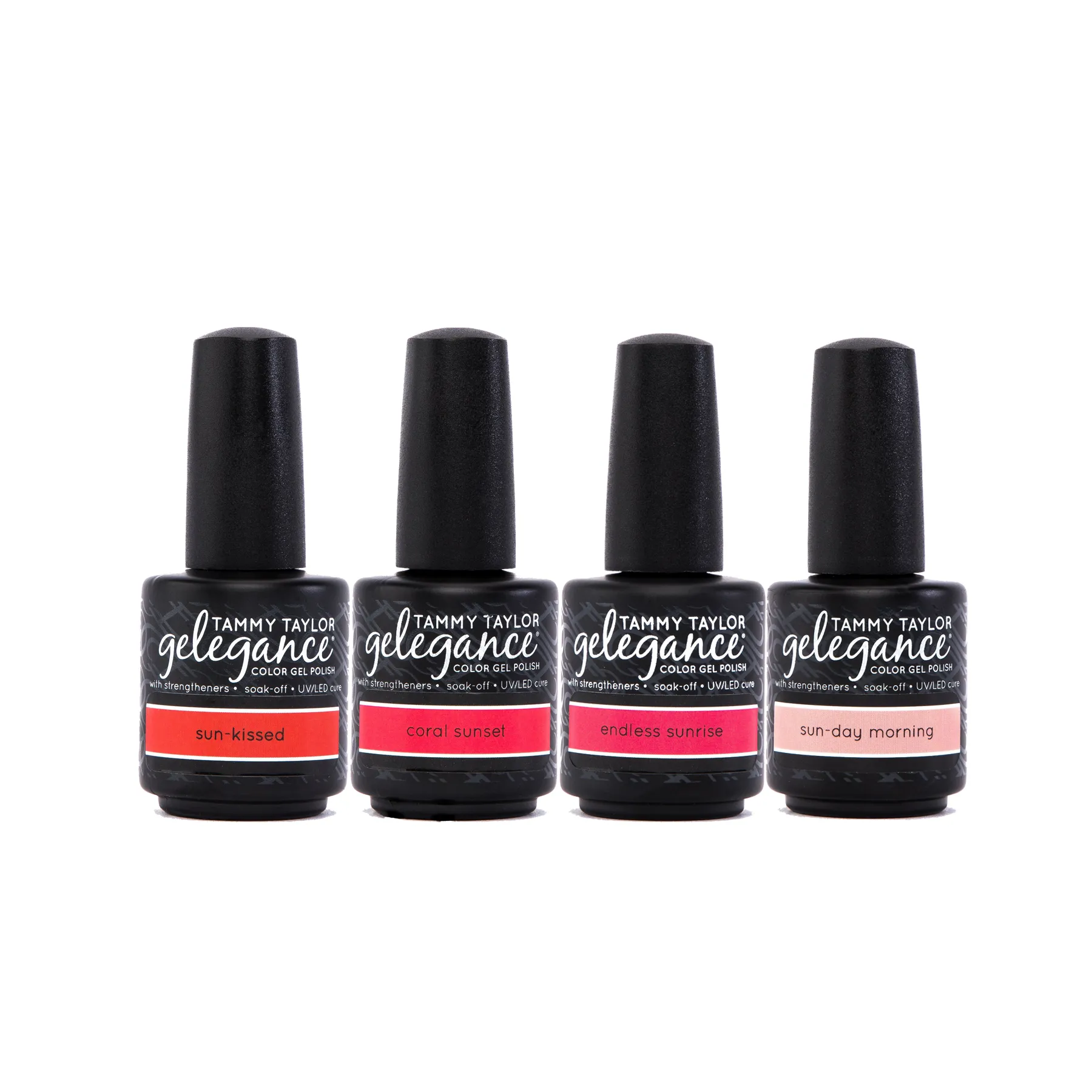 Eclectic Summer ENTIRE Collection Bundle
