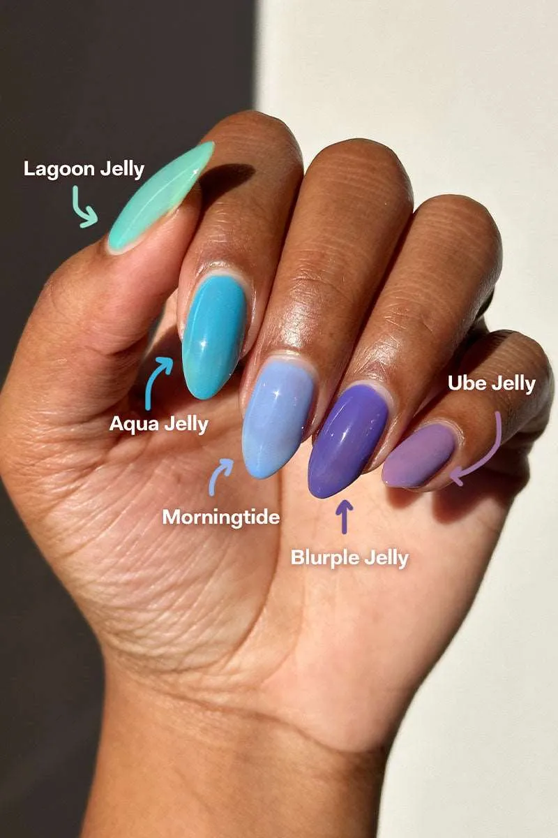 Lagoon Jelly